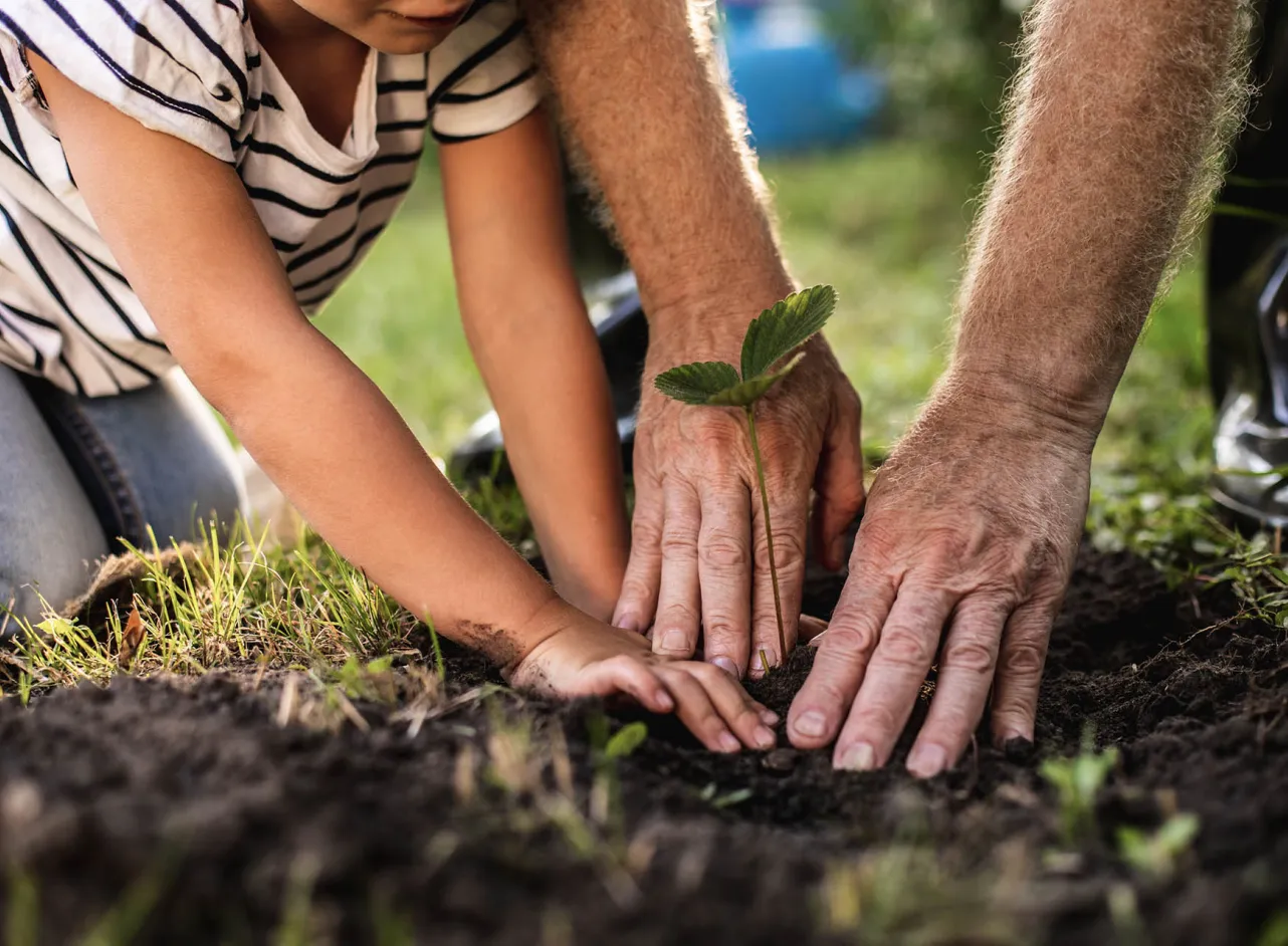 handen van volwassene en kind die in tuin planten